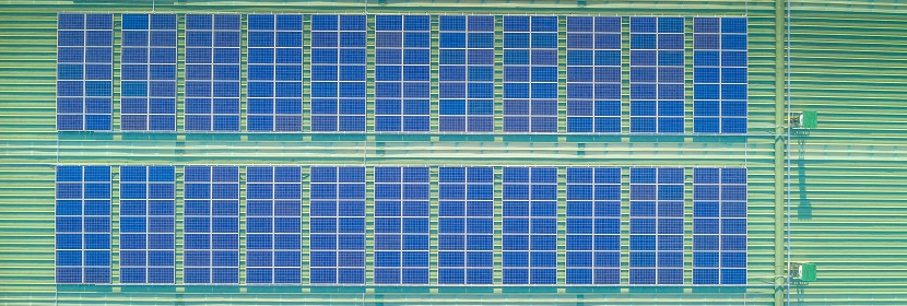 瘦素受体敲除II型糖尿病大鼠模型