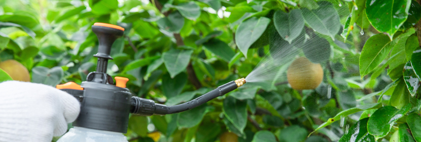 抗生物侵蚀性