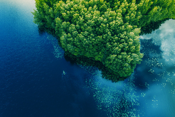 邻氯氯苄检测