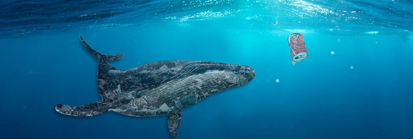 推进器检测