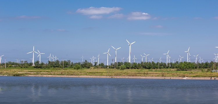 铅砷汞检测