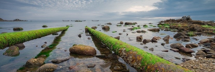 排污口论证检测