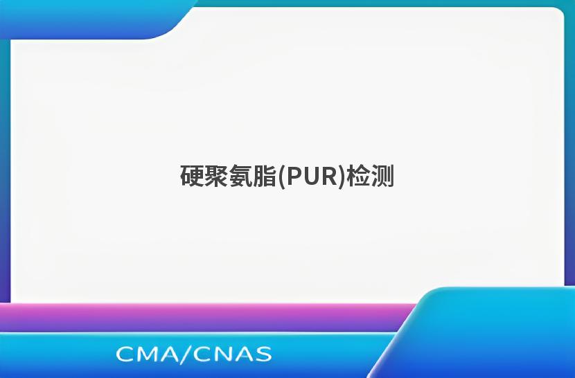 硬聚氨脂(PUR)检测