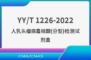 YY/T 1226-2022人乳头瘤病毒核酸(分型)检测试剂盒