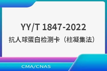 YY/T 1847-2022抗人球蛋白检测卡（柱凝集法）